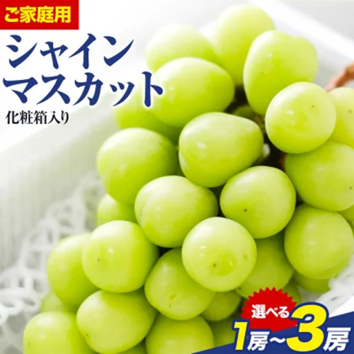 ご家庭用 フルーツ王国 岡山県産 シャインマスカット 化粧箱入り 1房 2房 3房 前後 Lino ＆ Kai Farm《2026年10月上旬-11月中旬頃出荷》マスカット 送料無料 岡山県 浅口市 シャインマスカット 岡山 ぶどう フルーツ 果物 2713620 - 岡山県浅口市
