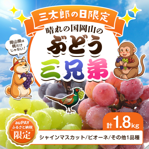 【三太郎の日限定】晴れの国岡山の​ぶどう三兄弟 3品種 ぶどう シャインマスカット ピオーネ その他1品種​ 計1.8kg​ 《9月上旬-10月末頃発送予定》 2713621 - 岡山県浅口市