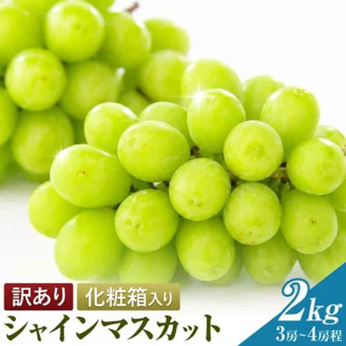 訳あり フルーツ王国 岡山県産 シャインマスカット 化粧箱入り 2kg 3房～4房前後 Lino ＆ Kai Farm《10月上旬-11月中旬頃出荷》マスカット 送料無料 岡山県 浅口市 シャインマスカット 岡山 ぶどう フルーツ 果物 2713623 - 岡山県浅口市