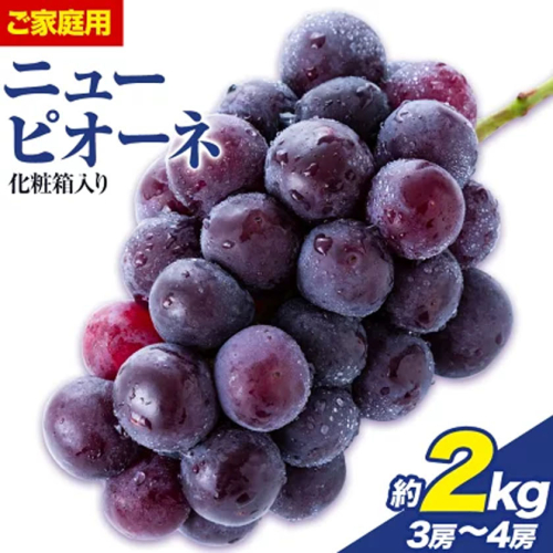 ご家庭用 フルーツ王国 岡山県産 ニューピオーネ 化粧箱入り 3房 ～ ４房 2kg【先行予約】 Lino ＆ Kai Farm《2026年9月中旬-10月中旬頃出荷》ピオーネ 送料無料 岡山県 浅口市 ニューピオーネ 岡山 ぶどう フルーツ 果物 2713626 - 岡山県浅口市