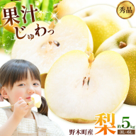 梨 豊水 秀品 約5kg 4L ～ 6L  井岡農園 《8月下旬-9月中旬頃出荷予定》 栃木県 野木町 なし ナシ くだもの 果物 青果物 フルーツ