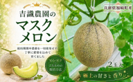 マスクメロン「パノン」2玉 農薬不使用栽培 贈答用 化粧箱入り