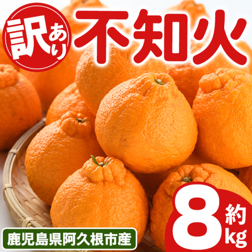 ＜先行予約受付中！2027年3月上旬以降順次発送予定＞ 訳あり！露地栽培の不知火(約8kg) 国産 不知火 しらぬい 柑橘 果物 フルーツ デザート 露地 果実 期間限定 数量限定 【古田果樹園】akn093-09 2713788 - 鹿児島県阿久根市