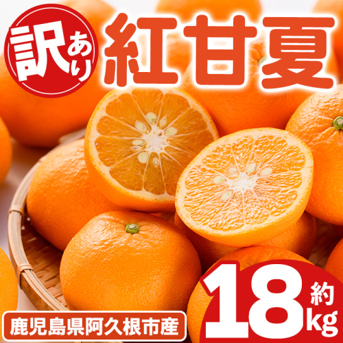 ＜先行予約受付中！2027年2月上旬以降順次発送予定＞ 訳あり！紅甘夏(約18kg) 国産 紅甘夏 柑橘 果物 フルーツ デザート 果実 期間限定 数量限定 【古田果樹園】akn093-10 2713792 - 鹿児島県阿久根市