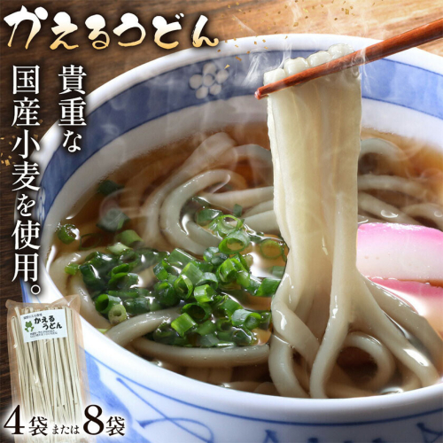 うどん かえるうどん 細麺 太麺 2種 4袋 8袋 野木町産小麦100％《30日以内に出荷予定(土日祝除く)》 宝咲屋 麺類 麺 栃木県 野木町 2713799 - 栃木県野木町