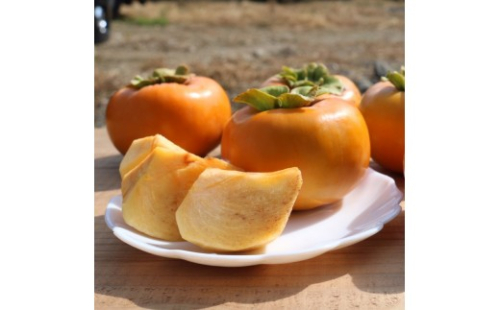 ［産地直送］和歌山県産 柿 約5kg 秀品［US68］ 2713801 - 和歌山県那智勝浦町