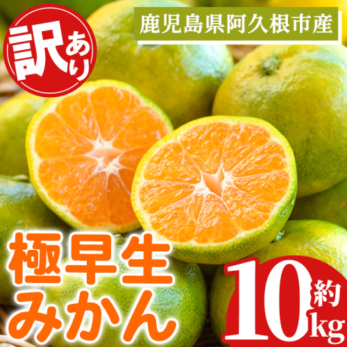 ＜先行予約受付中！2026年9月中旬以降順次発送予定＞ 訳あり！極早生みかん(約10kg) 国産 みかん 極早生 早生 柑橘 果物 フルーツ デザート 果実 期間限定 数量限定 【古田果樹園】akn093-11 2713803 - 鹿児島県阿久根市