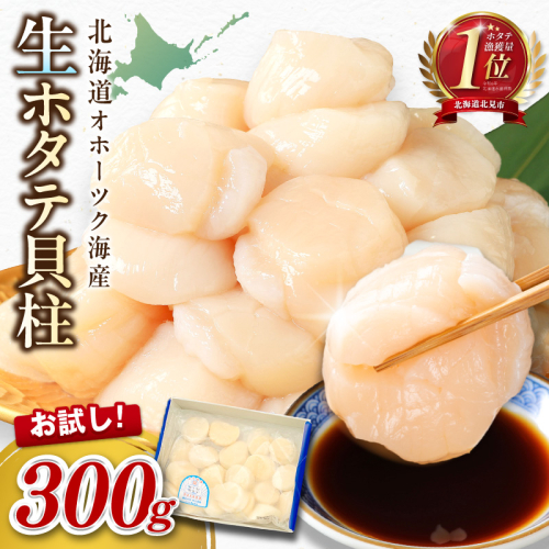 【2026年8月発送】北海道オホーツク海産 ホタテ貝柱 300g 生食用 ( 海鮮 魚介 魚介類 貝 ほたて 刺身 貝柱 海鮮丼 贈答 ギフト 小分け 帆立貝柱 人気 ふるさと納税 ホタテ )【037-0020】 2713805 - 北海道北見市