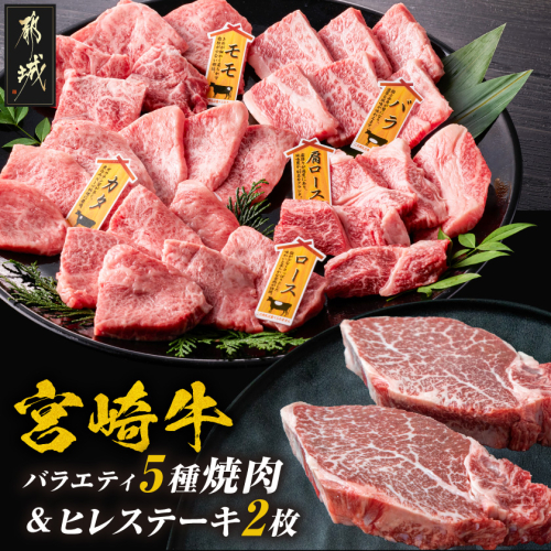 宮崎牛ヒレステーキ2枚&バラエティ焼肉500gセット_AE-89-012 2713809 - 宮崎県都城市