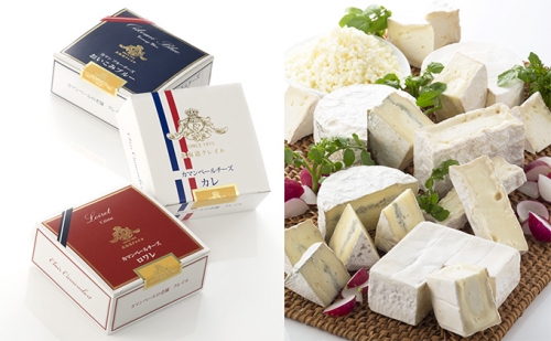 カマンベールチーズ 3種 セット クレイル特製 カマンベール チーズ 乳製品 27145 - 北海道共和町
