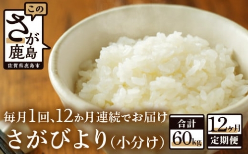 M-3【新鮮米】鹿島市産さがびより５kg×１２か月定期便【１等米】