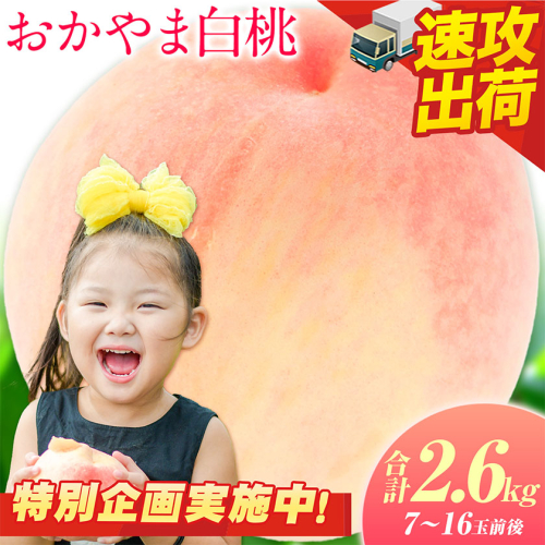 【最短翌日！】食べごろは＼今でしょ！／ 岡山の白桃 2.6kg おすそわけにも！ 7～16玉前後 もも 岡山 《1-5営業日以内に出荷》 スピード発送 白桃 桃 岡山 清水白桃 白鳳 はなよめ 日川白鳳 加納岩白桃 おかやま夢白桃 川中島白桃 白麗 瀬戸内白桃 白皇 恵白 2716004 - 岡山県浅口市
