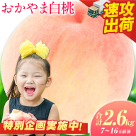 [最短翌日!]食べごろは＼今でしょ!/ 岡山の白桃 2.6kg おすそわけにも! 7〜16玉前後 もも 岡山 [1-5営業日以内に出荷] スピード発送 白桃 桃 岡山 清水白桃 白鳳 はなよめ 日川白鳳 加納岩白桃 おかやま夢白桃 川中島白桃 白麗 瀬戸内白桃 白皇 恵白