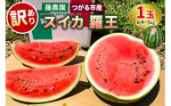[訳あり] スイカ  羅王 1玉(約4kgから5kg)｜つがる市産 青森産 産直 2026年産 令和8年 夏 すいか 西瓜 果物 フルーツ 旬 特産 藤農園 農福連携 ラオウ らおう 羅皇 先行受付 訳あり 訳アリ ワケアリ 家庭用 ふるさと納税 [1048]