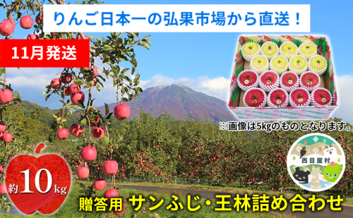 【11月発送】 贈答用 サンふじ・王林詰め合わせ 約10kg【青森りんご】 果物 果実 フルーツ 新鮮 美味しい 自然環境 赤い 黄色い 太陽 ジューシー 芳香 セット 贈り物 ギフト 2716168 - 青森県西目屋村