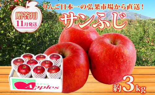 【11月発送】 贈答用 サンふじ 約3kg りんご 林檎 リンゴ 果物 フルーツ くだもの 旬 青森県産 お取り寄せ 贈り物 プレゼント 人気 東北 名産 常温 産地直送 送料無料 青森県 西目屋村 2716169 - 青森県西目屋村