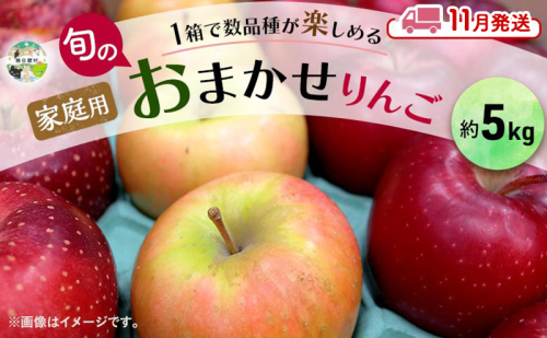 【11月発送】 家庭用 旬のりんご 品種おまかせ 約 5kg 2品種～4品種 りんご 2716170 - 青森県西目屋村