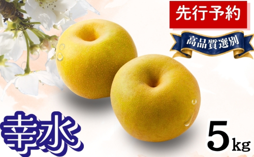 幸水 5kg 高品質選別 (12～14個入) 秋田県 能代市 梨 なし ナシ 果物 フルーツ 厳選 贈答用 甘い 果実 果汁 2716173 - 秋田県能代市