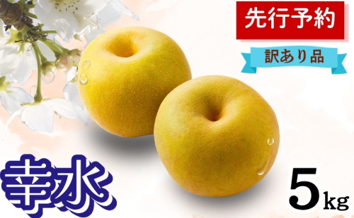 幸水 5kg 訳あり(12～14個入) 秋田県 能代市 梨 なし ナシ 果物 フルーツ 厳選 訳あり 甘い 果実 果汁 2716178 - 秋田県能代市