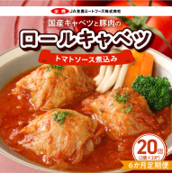 ＜6か月定期便＞国産キャベツと豚肉のロールキャベツ（10P入り）［022J44-T］