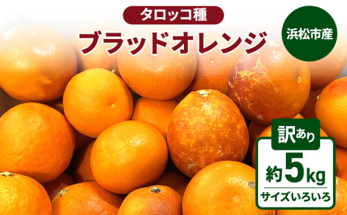 静岡県浜松市産 訳あり『ブラッドオレンジ（タロッコ種）』約5kg（サイズいろいろ）オレンジ 濃厚な甘み 爽やかな酸味 柑橘 静岡 浜松市 【配送不可：離島】 2716407 - 静岡県浜松市
