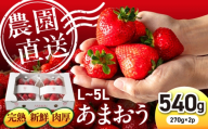 【2027年3月配送】【農園直送】糸島のあまおう 270g×2パック (サイズおまかせL〜5L) 糸島市 / 磯本農園 / TANNAL [ATB003-1] いちご 苺 イチゴ