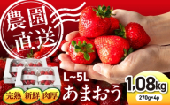 【2027年1～2月配送】【農園直送】糸島のあまおう 270g×4パック (サイズおまかせL〜5L) 糸島市 / 磯本農園 / TANNAL [ATB004] いちご 苺 イチゴ