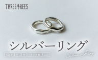 【日常のアクセントに】シルバーリング  LS-04  / 鏡面 / 10号