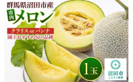 沼田市産 メロン 1玉（約1.5～2kg） クラリス、パンナのどちらかから園主おすすめの旬のメロンをお届け！ [めろん 園主が厳選 なめらか食感 濃厚な甘み さっぱり 歯ごたえ食感 濃厚な味わい くらりす ぱんな 群馬県 沼田市]