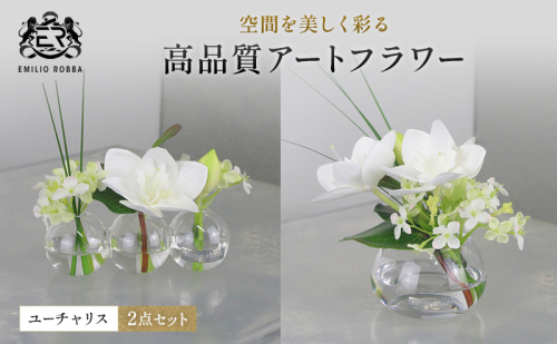 エミリオロバ　ユーチャリス2点セット　ユーチャリス3W24・S24  2点セット 2717014 - 三重県名張市