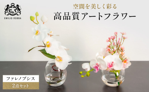 エミリオロバ　ファレノプシス2点セット 2717017 - 三重県名張市
