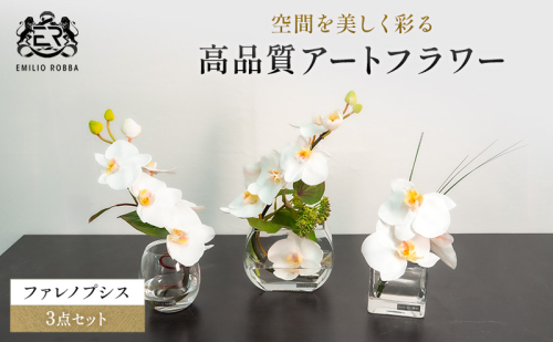 エミリオロバ　ファレノプシス3点セット 2717018 - 三重県名張市