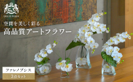 エミリオロバ　ファレノプシス4点セット