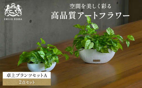 エミリオロバ　卓上プランツＡセット 2717020 - 三重県名張市