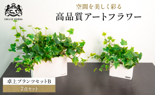 エミリオロバ　卓上プランツＢセット 2717021 - 三重県名張市