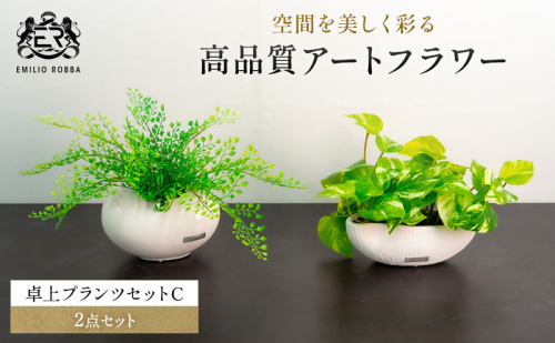 エミリオロバ　卓上プランツセットＣ 2717022 - 三重県名張市
