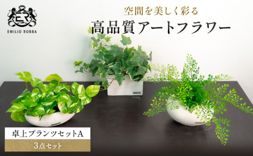 エミリオロバ　卓上プランツ3点セットA 2717024 - 三重県名張市
