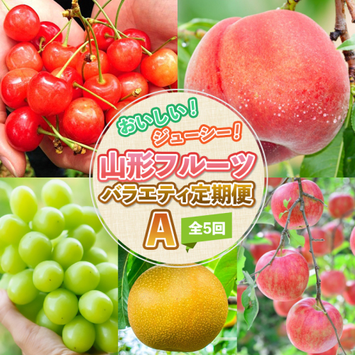 【定期便5回】おいしい！ジューシー！山形フルーツ バラエティ定期便Ａ FY26-216 2717032 - 山形県山形市