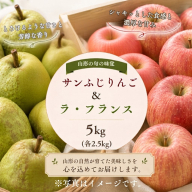 山形産 サンふじ・ラ・フランス詰合せ 約5kg 秀品 (各2.5kg)  FY26-225
