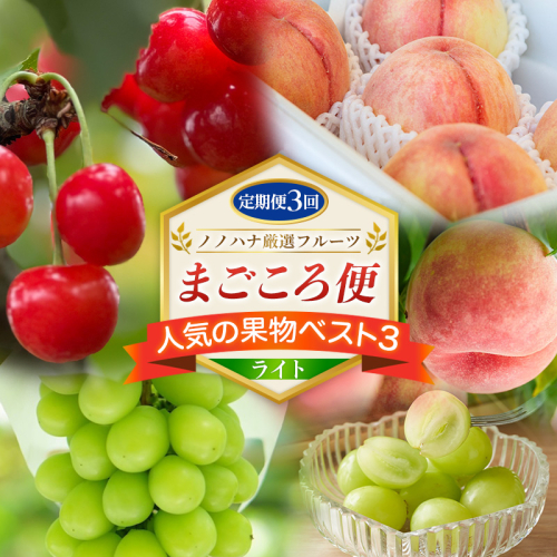 【定期便3回】ノノハナ厳選フルーツ まごころ便 人気の果物ベスト3 ライト  FY26-217 2717041 - 山形県山形市