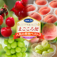 【定期便3回】ノノハナ厳選フルーツ まごころ便 人気の果物ベスト3 スタンダード FY26-218