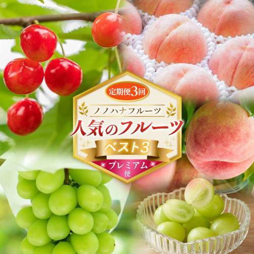 【定期便3回】ノノハナフルーツ 人気のフルーツベスト3 プレミアム便 FY26-224 2717129 - 山形県山形市