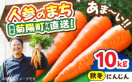【先行予約】【12月中旬より順次発送】菊陽秋冬にんじん 秀品 約10kg / にんじん 菊陽にんじん 西洋にんじん ニンジン 人参 野菜 熊本 菊陽 【マツモト：ファーム】 [BHDH009]