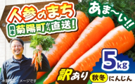 【先行予約】【12月中旬より順次発送】【訳あり】菊陽秋冬にんじん 約5kg (訳あり) / にんじん 菊陽にんじん 西洋にんじん ニンジン 人参 野菜 熊本 菊陽 わけあり 【マツモト：ファーム】 [BHDH011]