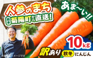 【先行予約】【12月中旬より順次発送】【訳あり】菊陽秋冬にんじん 約10kg (訳あり) / にんじん 菊陽にんじん 西洋にんじん ニンジン 人参 野菜 熊本 菊陽 わけあり 【マツモト：ファーム】 [BHDH012]