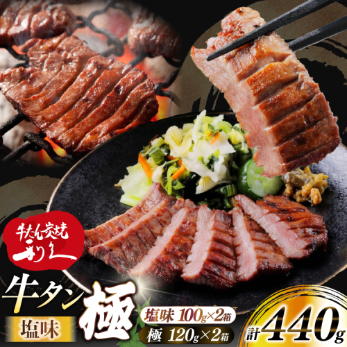 牛たん 炭焼 利久 牛たん極 (塩味) ＆ 牛たん塩味 各2個 セット [利久 宮城県 気仙沼市 20566129] 牛タン 牛 肉 牛肉 タン 焼肉 キャンプ アウトドア バーベキュー BBQ 牛タン塩 牛たん塩 冷凍 小分け 個包装 2717339 - 宮城県気仙沼市