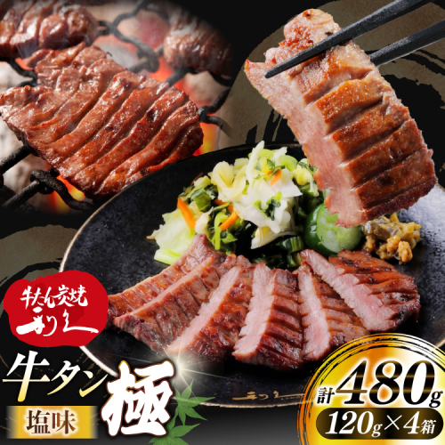牛たん 炭焼 利久 牛たん極 (塩味) 4個 セット [利久 宮城県 気仙沼市 20566128] 牛タン 牛 肉 牛肉 タン 焼肉 キャンプ アウトドア バーベキュー BBQ 牛タン塩 牛たん塩 冷凍 小分け 個包装 2717343 - 宮城県気仙沼市
