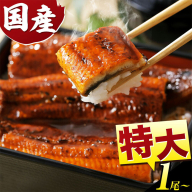 [最短3日配送]『特大』1尾7500円 3尾15000円☆ うなぎ 蒲焼き1尾 3尾 5尾 [3-7営業日出荷]うなぎの蒲焼き うなぎ 鰻 蒲焼 蒲焼き ウナギの蒲焼 徳島県産