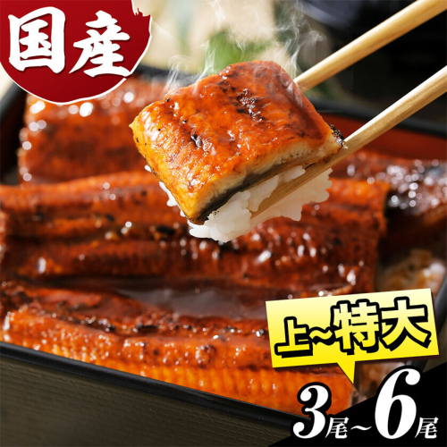 【スピード出荷！】うなぎ 国産 鰻の蒲焼 3尾～6尾＋ きざみうなぎ付 上～特上サイズ《3-7営業日以内に出荷》| うなぎの蒲焼き うなぎ 鰻 蒲焼 蒲焼き ウナギの蒲焼 徳島県産 2717468 - 徳島県上板町