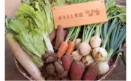 [№5904-0357]【農家直送】農薬不使用季節の野菜セット（10品）